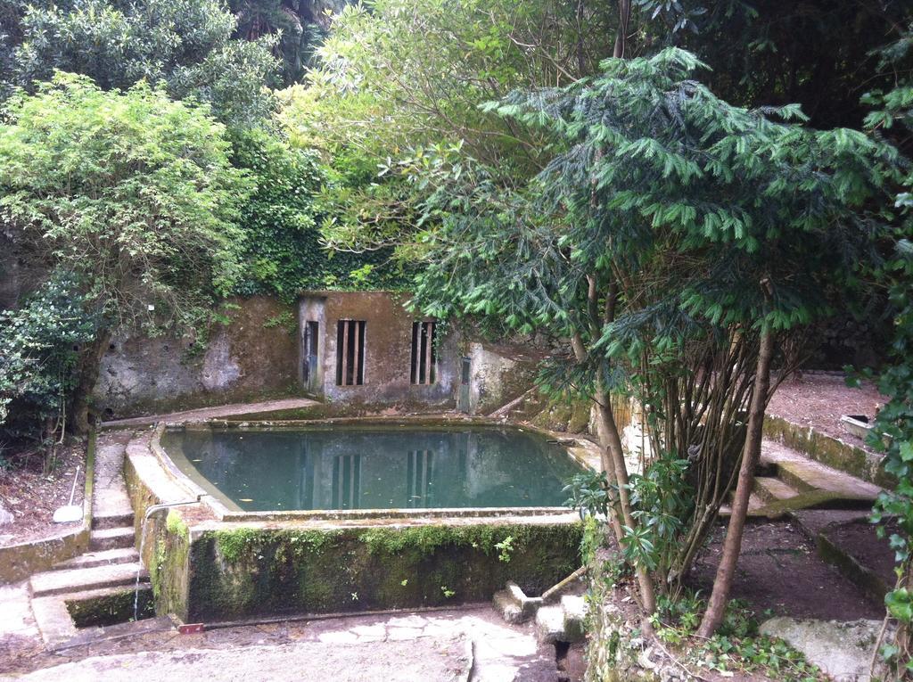 ホテル Quinta Do Castanheiro シントラ エクステリア 写真