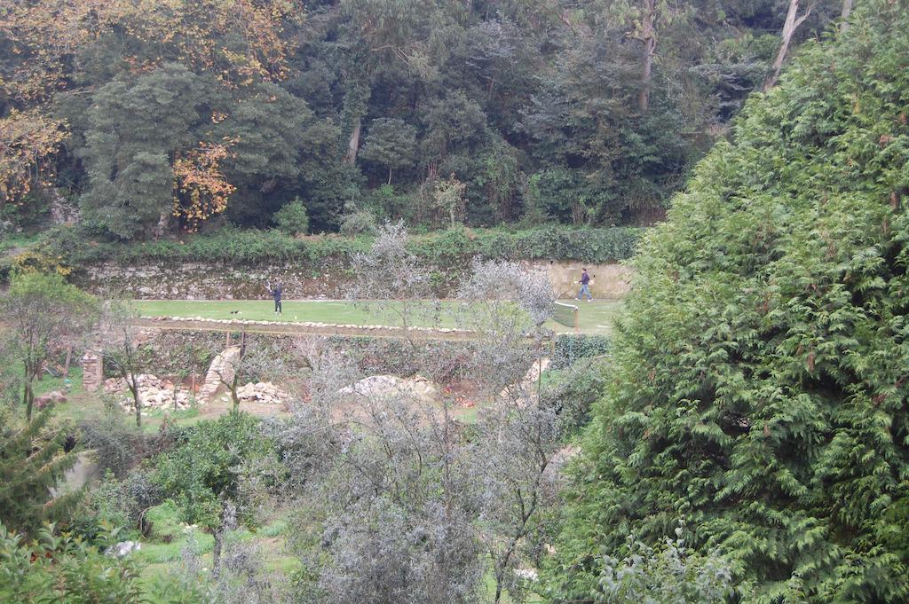 ホテル Quinta Do Castanheiro シントラ エクステリア 写真