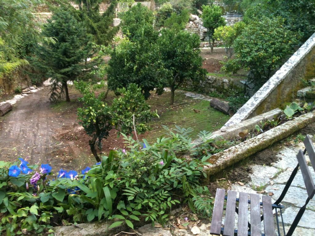 ホテル Quinta Do Castanheiro シントラ エクステリア 写真