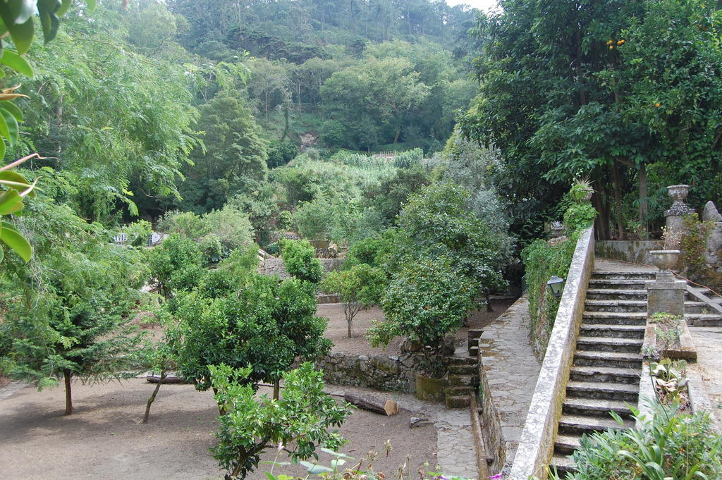 ホテル Quinta Do Castanheiro シントラ エクステリア 写真