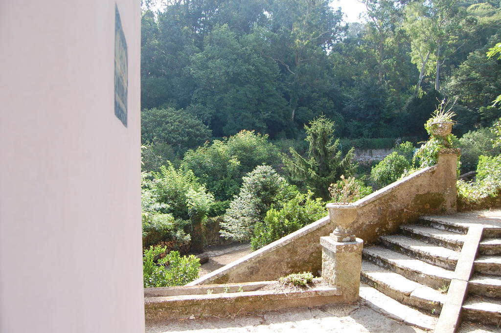 ホテル Quinta Do Castanheiro シントラ エクステリア 写真