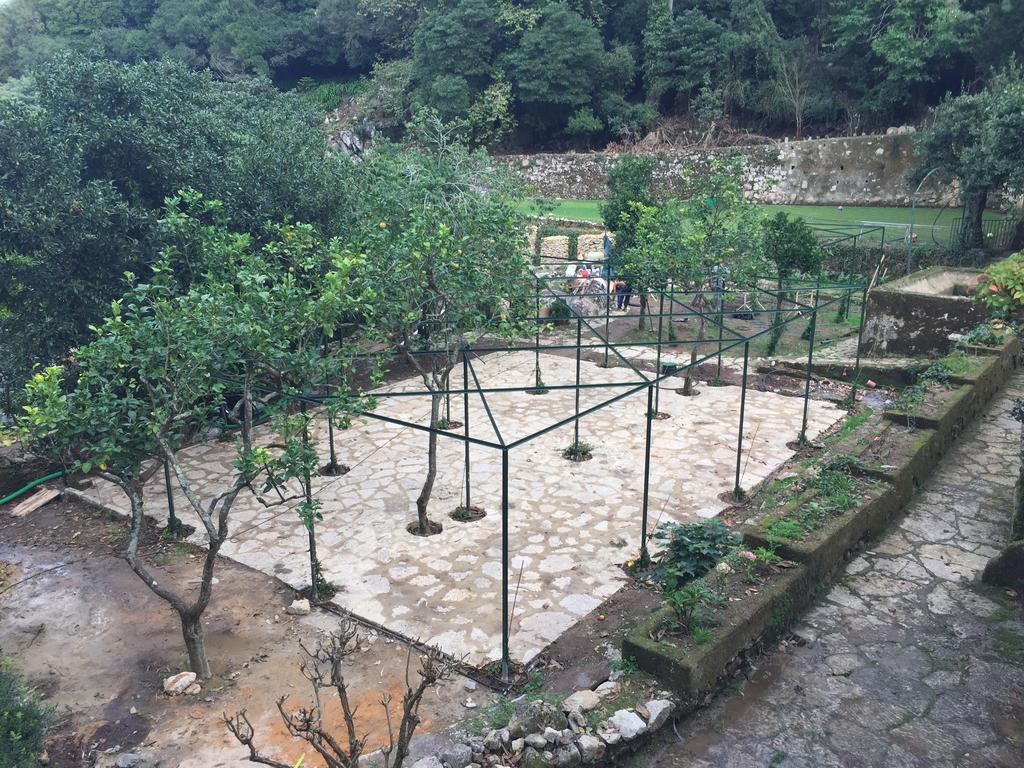 ホテル Quinta Do Castanheiro シントラ エクステリア 写真